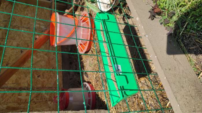 Фотография покупателя товара Поилка-кормушка лотковая для домашней птицы, навесная, пластик, МИКС - Фото 3