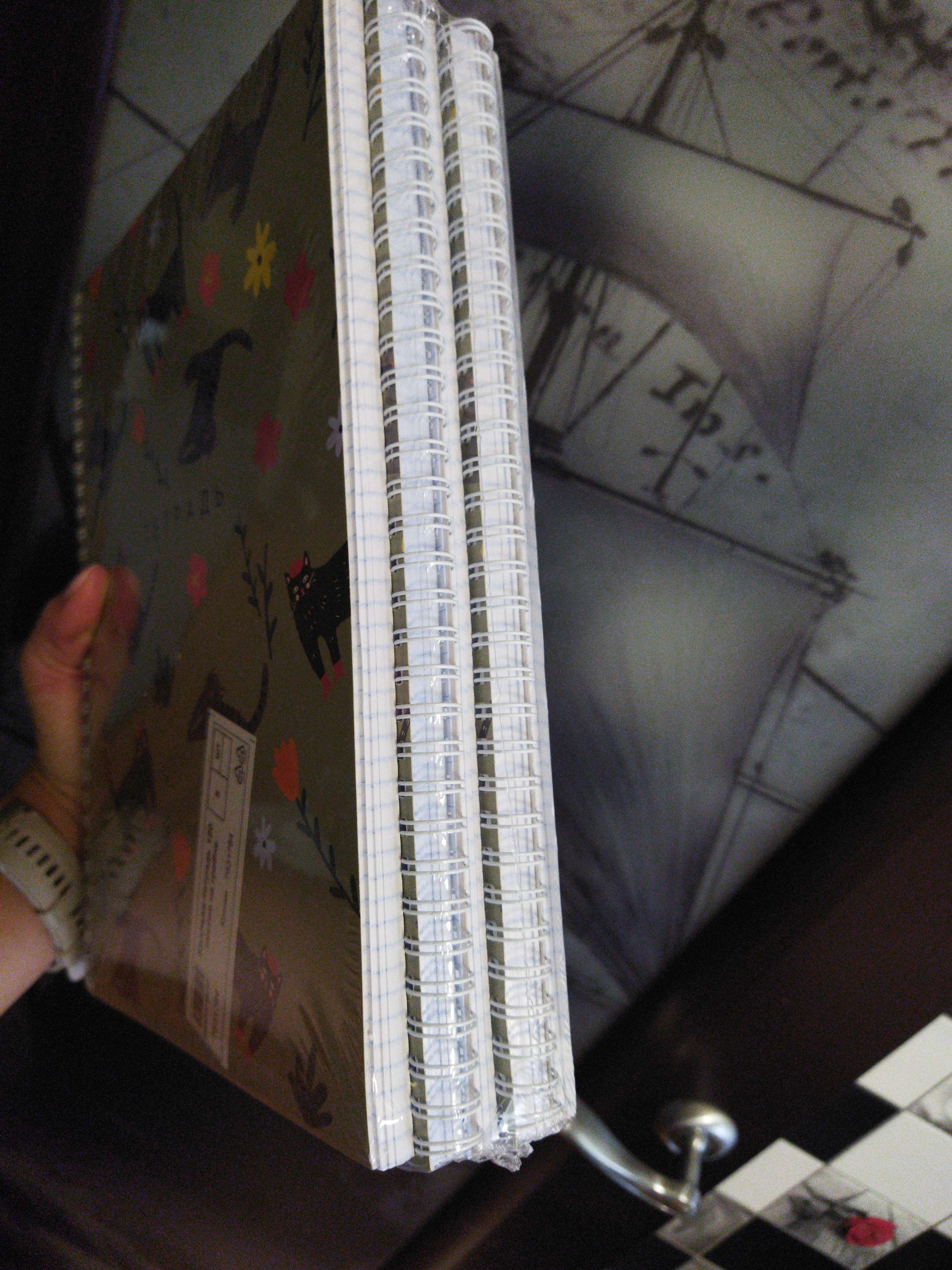 Фотография покупателя товара Тетрадь А4 в клетку , 120 листов на спирали, «1 сентября: Котики», обложка мелованный картон 215 гр., 80 гр., белизна 96% - Фото 3
