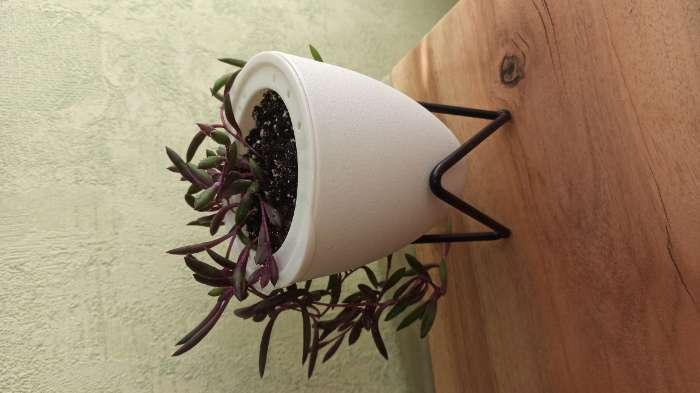 Фотография покупателя товара Кашпо с подставкой «Акцент», 11,2×11×12,5 см, цвет белый - Фото 3