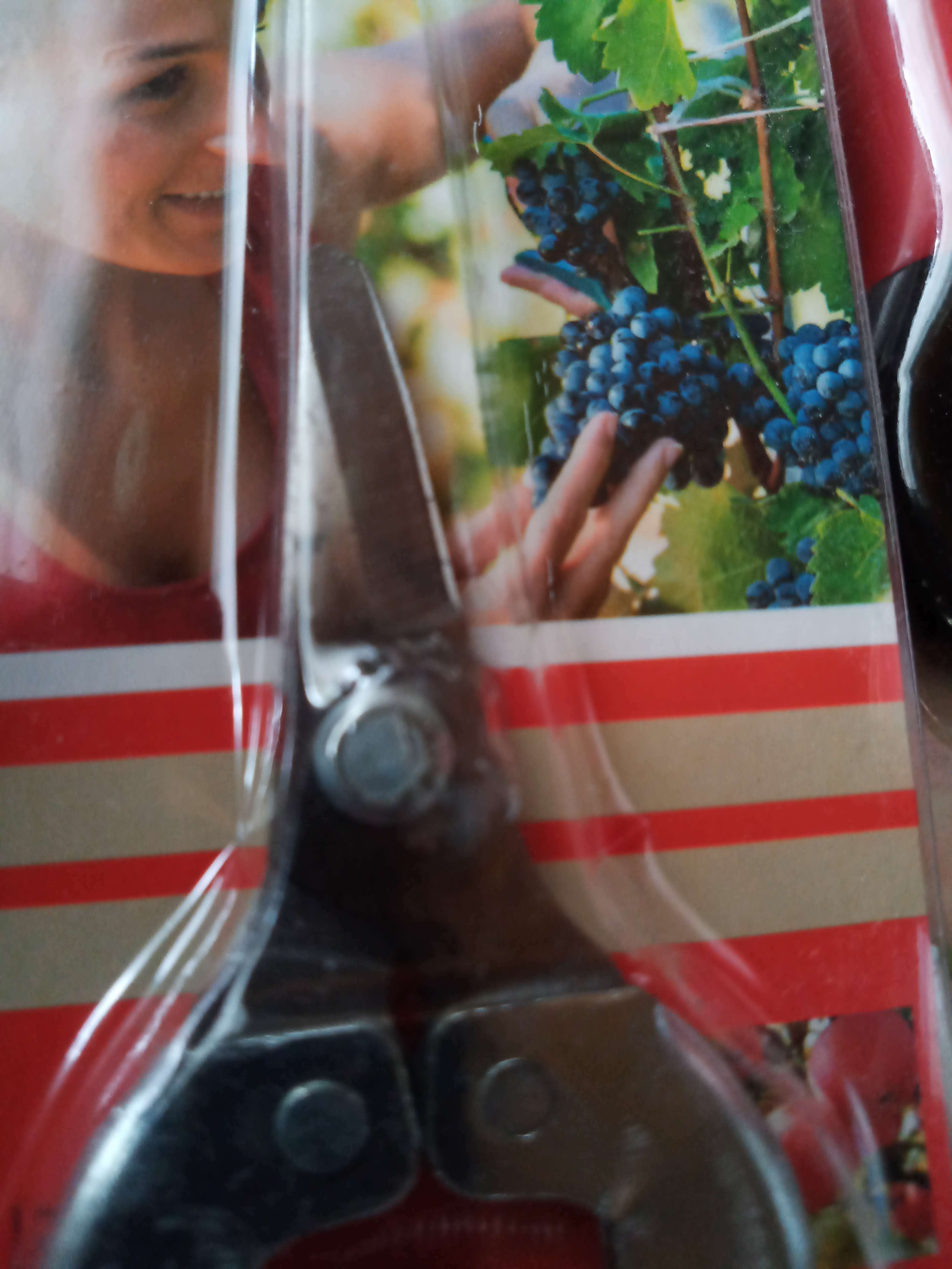 Фотография покупателя товара Ножницы садовые, 7" (18 см), с металлическими ручками, обрезиненная ручка, Greengo - Фото 2