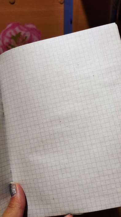 Фотография покупателя товара Тетрадь 48 листов в клетку Calligrata "Лисички", обложка мелованная бумага, блок №2, белизна 75% (серые листы), МИКС