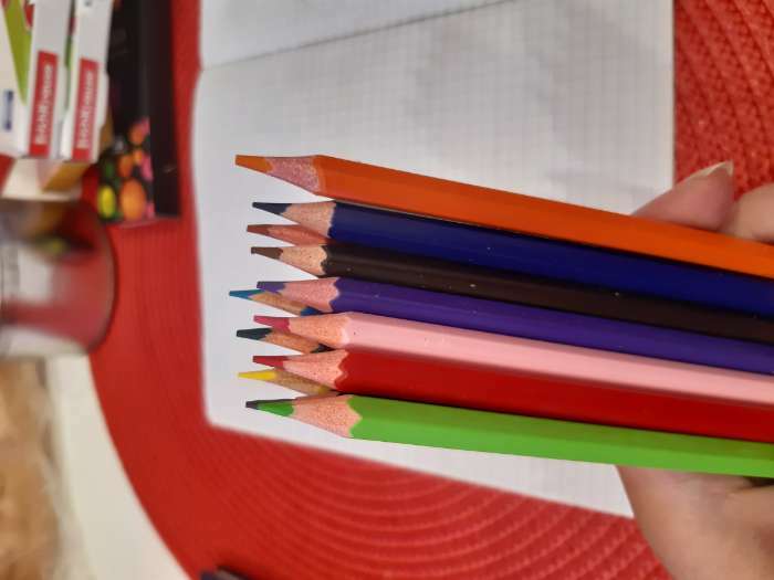 Фотография покупателя товара Карандаши 12 цветов Calligrata, ЭКОНОМ, заточенные, шестигранные, пластиковые, картонная упаковка, европодвес - Фото 48
