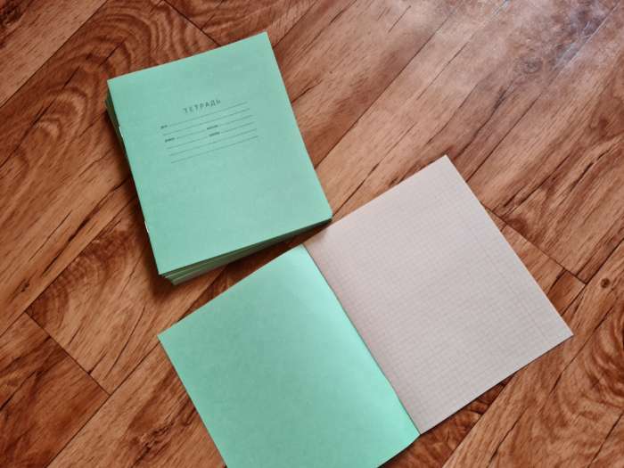 Фотография покупателя товара Комплект тетрадей из 20 штук, 12 листов в клетку КПК "Зелёная обложка", блок №2, белизна 75% (серые листы) - Фото 1