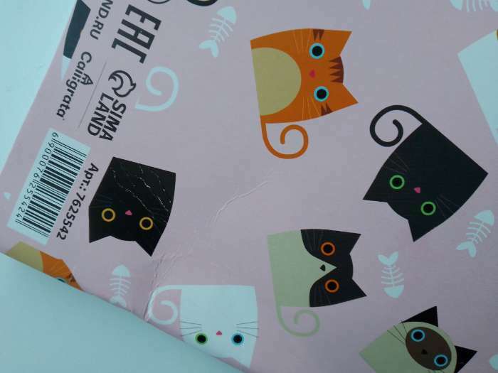 Фотография покупателя товара Дневник универсальный для 1-11 классов, "Кошки", мягкая обложка, 40 листов