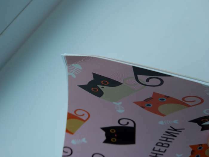 Фотография покупателя товара Дневник универсальный для 1-11 классов, "Кошки", мягкая обложка, 40 листов - Фото 2