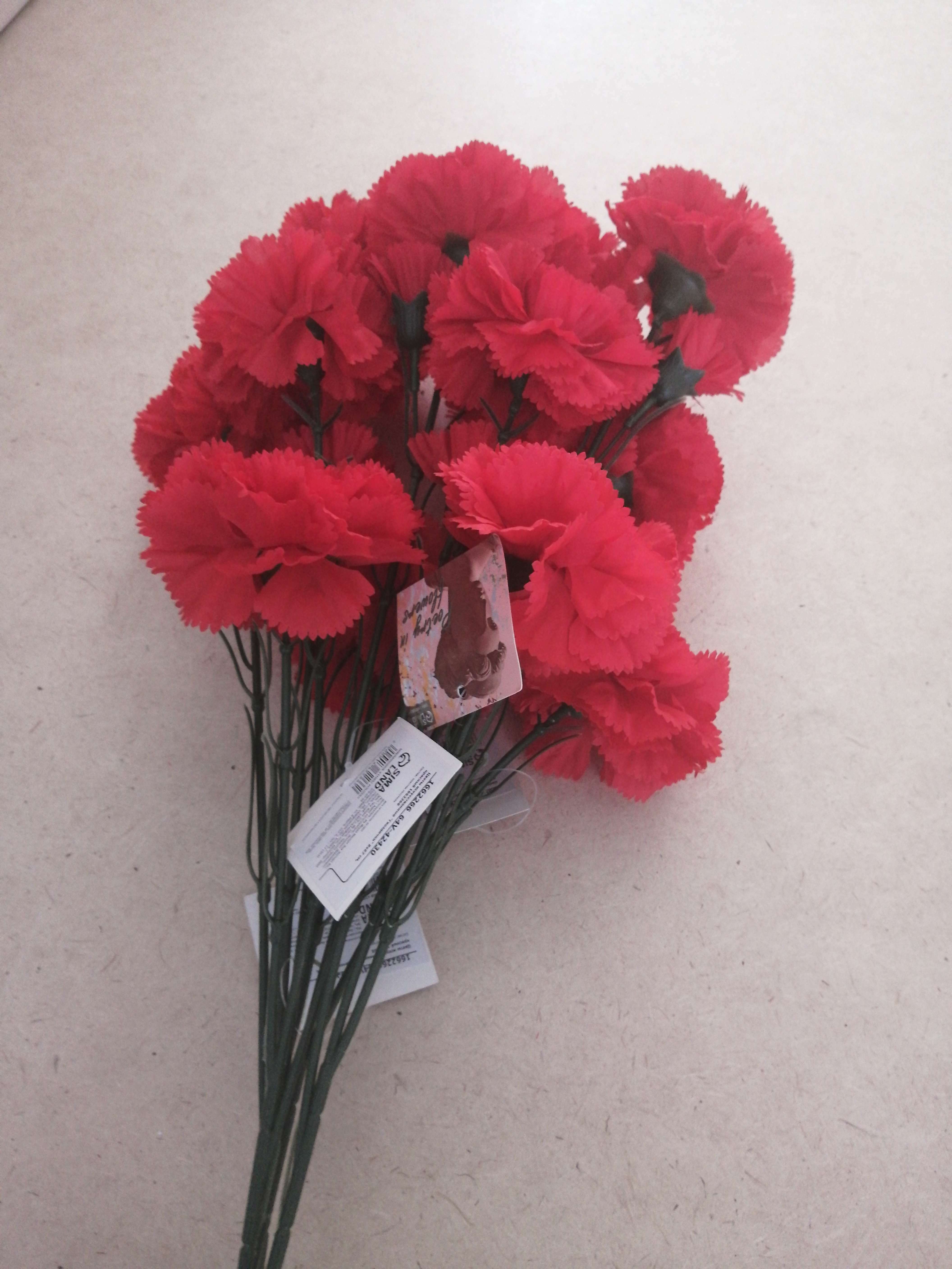 Фотография покупателя товара Цветы искусственные "Гвоздички" 8х67 см, красный - Фото 3