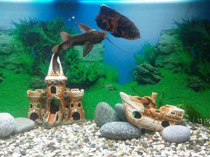 Фотография покупателя товара Декорация для аквариума "Замок тройной", 32 х 13 х 27 см, микс - Фото 1