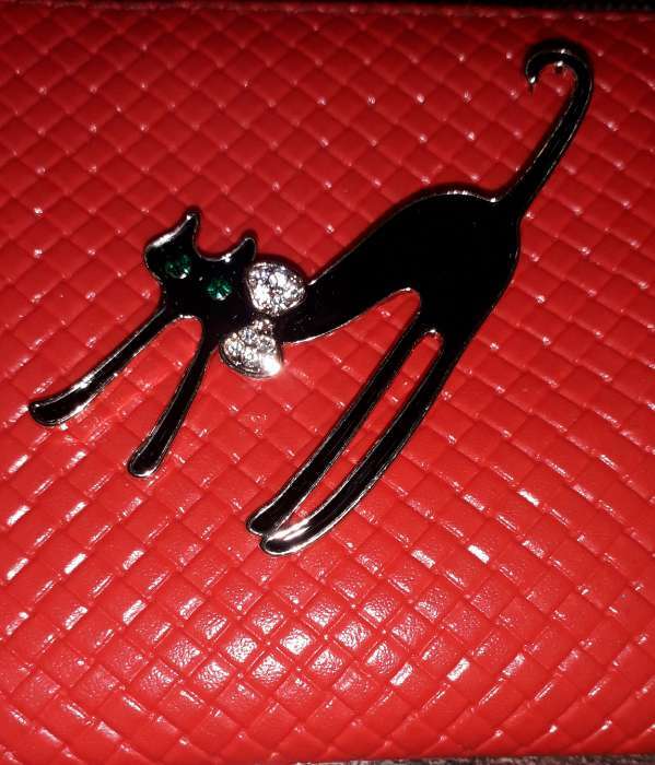 Фотография покупателя товара Брошь "Кошка грациозная с бантиком", цвет чёрный в золоте - Фото 1