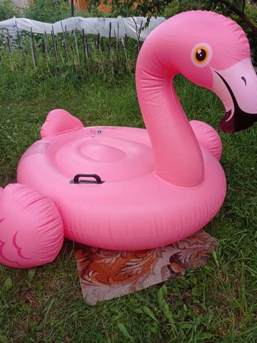 Фотография покупателя товара Игрушка для плавания «Розовый фламинго», 147 х 140 х 94 см, 57558NP INTEX