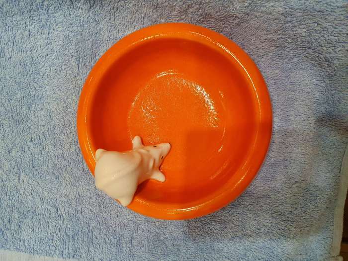Фотография покупателя товара Миска "Белая мышка", оранжевая, керамика, 0.2 л - Фото 6