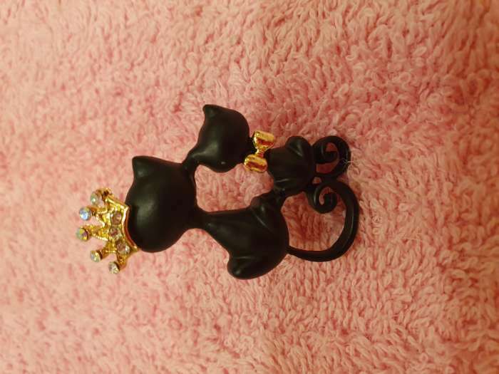 Фотография покупателя товара Брошь «Кошечки» принц и принцесса, цвет чёрный в золоте - Фото 2