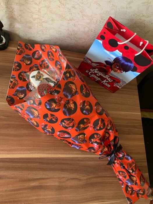 Фотография покупателя товара Пакет подарочный «Леди Баг и Супер-Кот. Маринет», 18 × 22,3 × 10 см - Фото 3