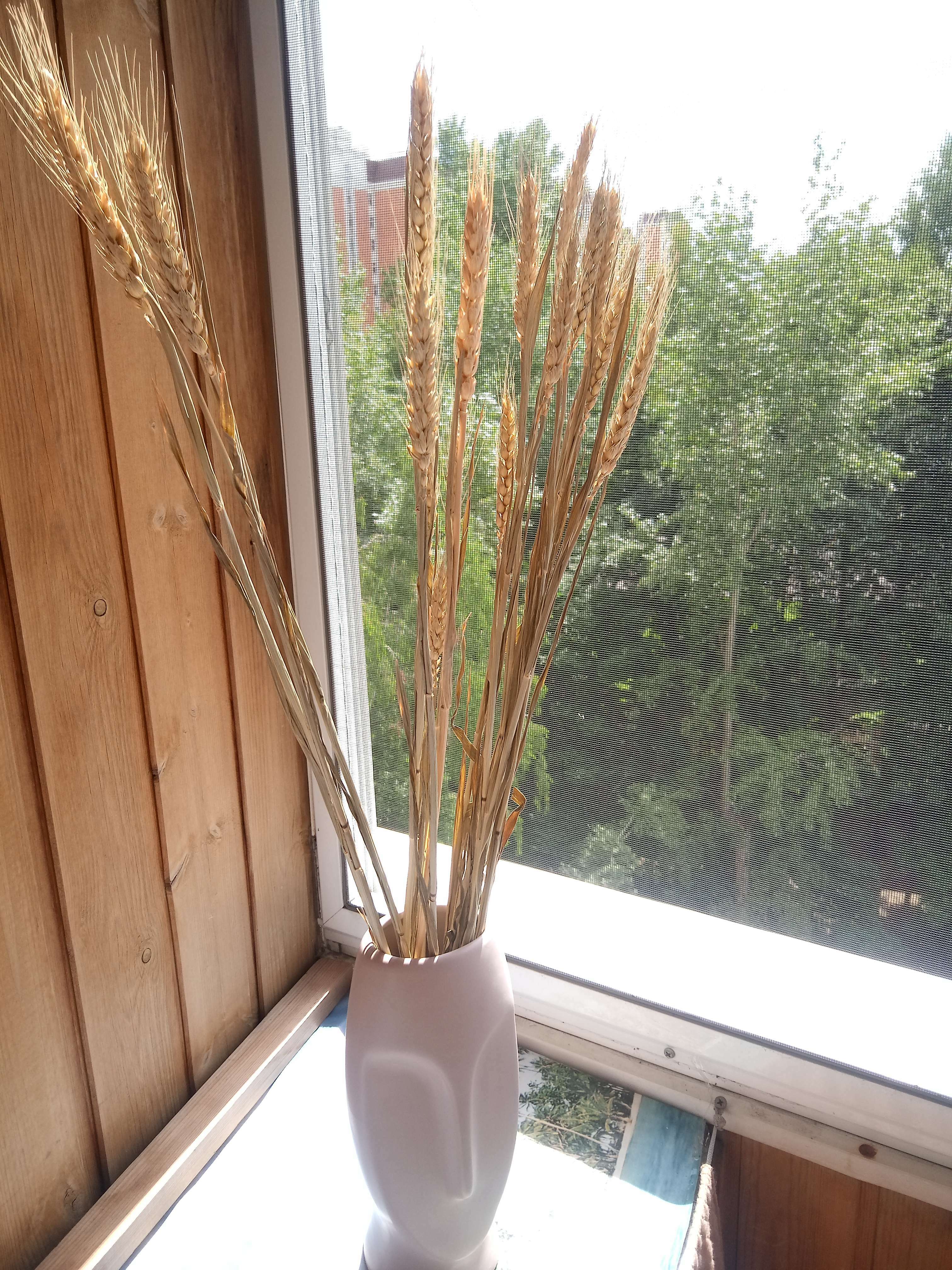 Фотография покупателя товара Декор сухоцвет "Пшеница" (набор 10 шт) 60 см, бежевый - Фото 6