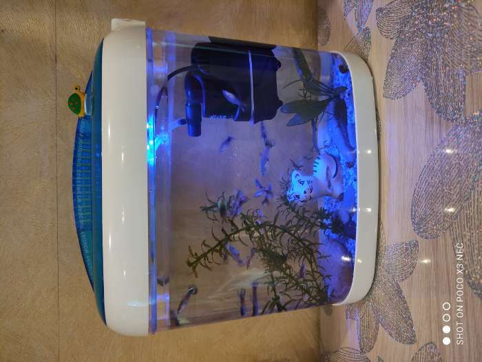 Фотография покупателя товара Аквариум настольный, с подсветкой LED и календарем кормлений, 4,4 л