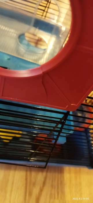 Фотография покупателя товара Клетка для грызунов трехярусная с лабиринтом и колесом, 39 x 29 х 64 см, микс цветов - Фото 14
