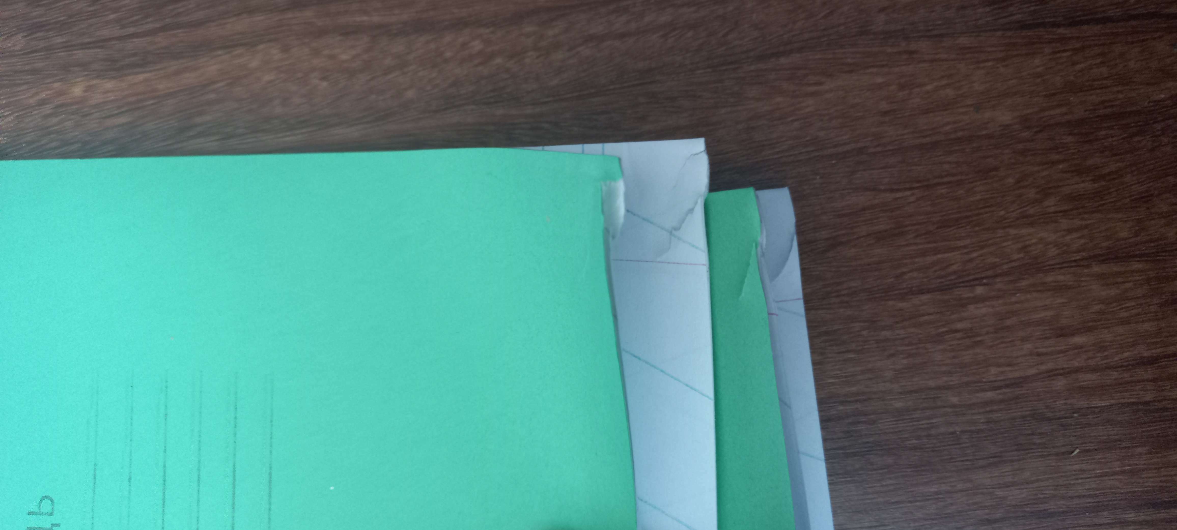 Фотография покупателя товара Тетрадь 12 листов косая линейка "Зелёная обложка", плотность 60 г/м2, белизна 92% - Фото 6