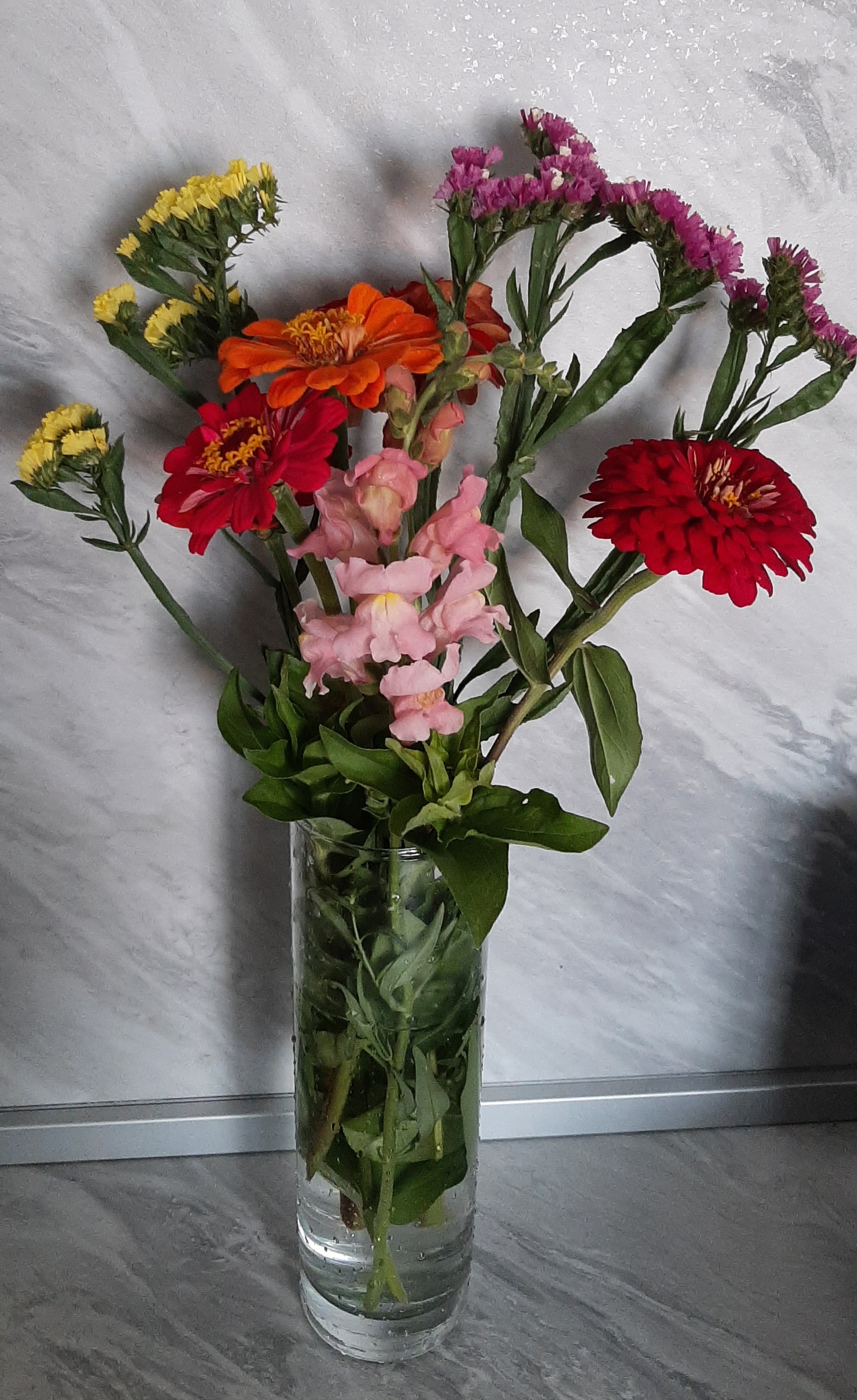 Фотография покупателя товара Семена цветов Статица Мечта флориста, смесь, О, 0,1 г - Фото 19