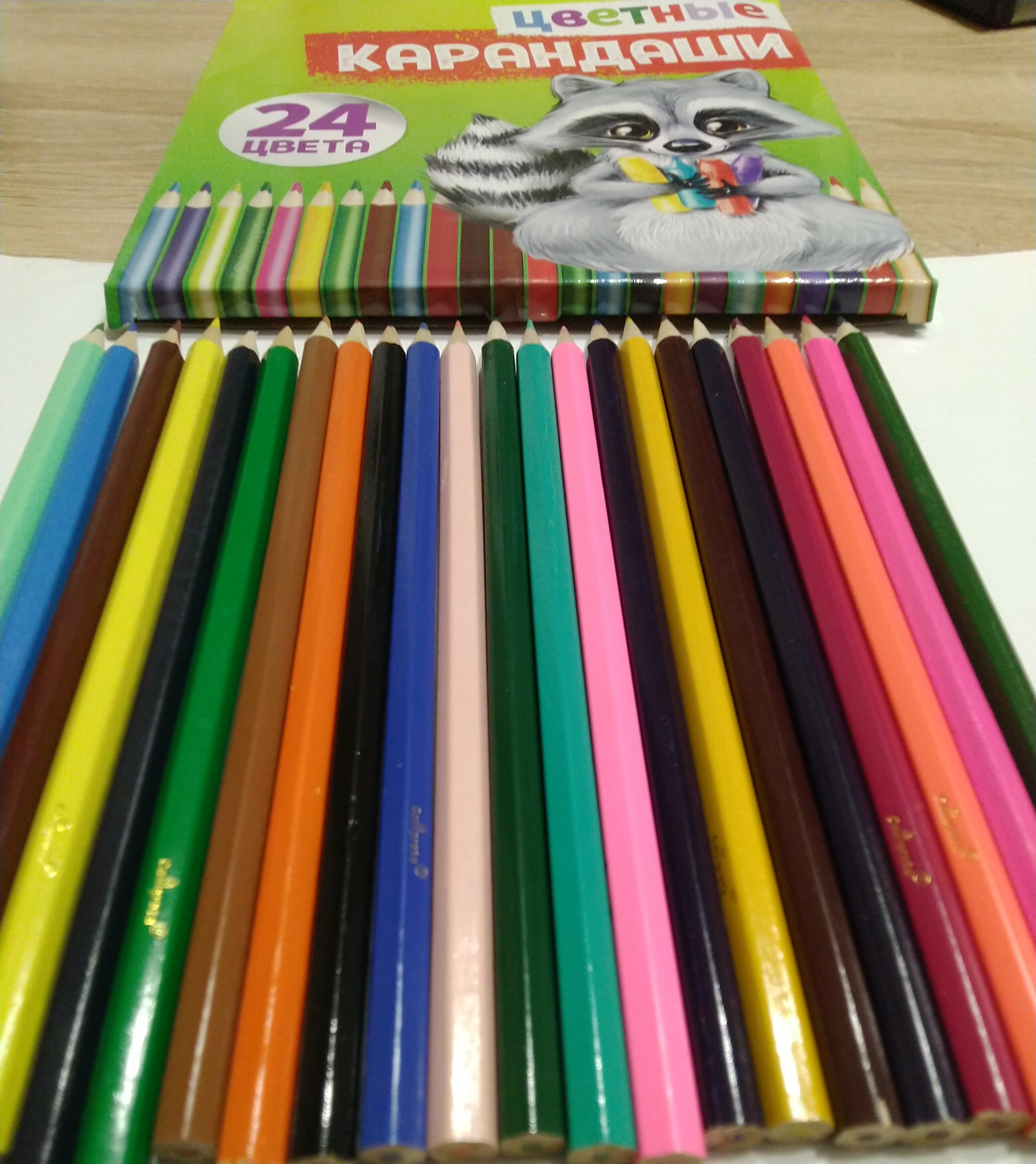 Фотография покупателя товара Карандаши 24 цвета, шестигранные, в картонной коробке - Фото 1