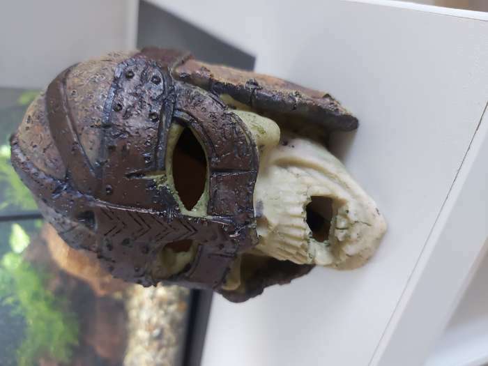 Фотография покупателя товара Декор для аквариума "Череп в шлеме", 11 х 9 х 12 см - Фото 3
