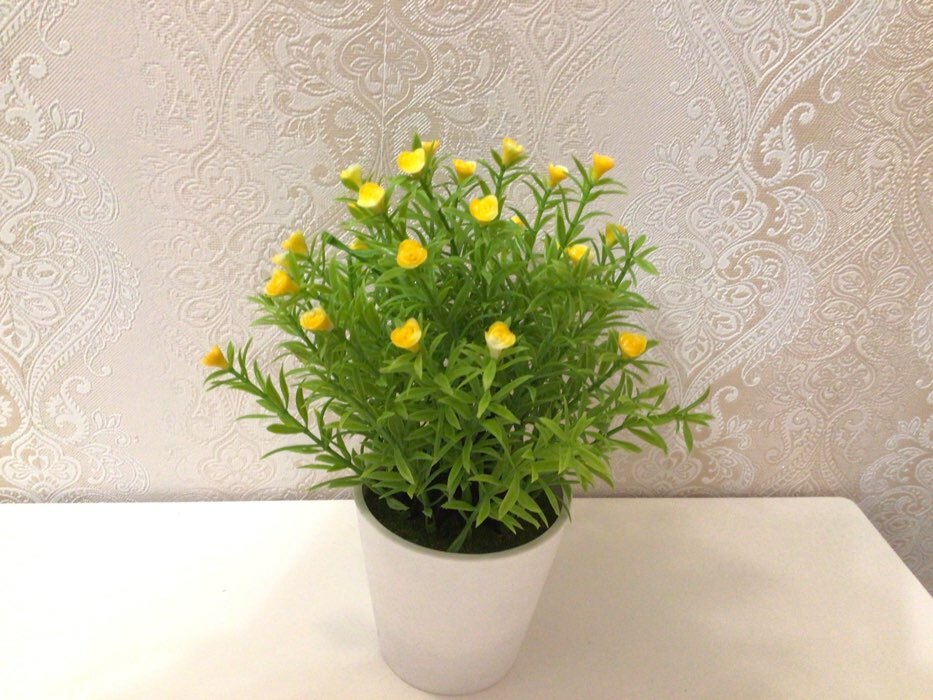 Фотография покупателя товара Бонсай "Трава с мелкими цветочками" 9,5х21 см, микс - Фото 1