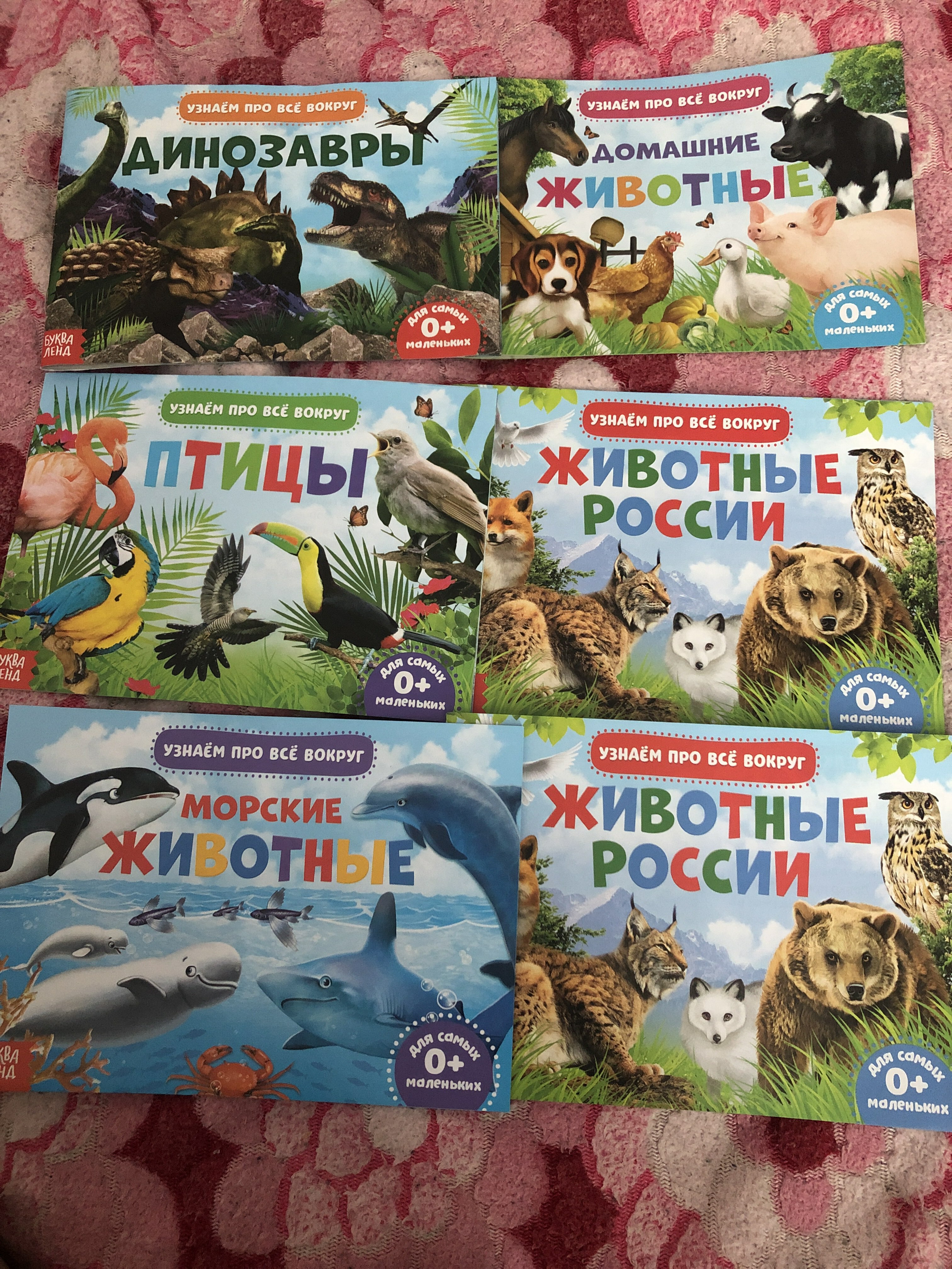 Фотография покупателя товара Обучающие книжки набор 6 шт. «Узнаём про всё вокруг», 108 животных и птиц - Фото 5
