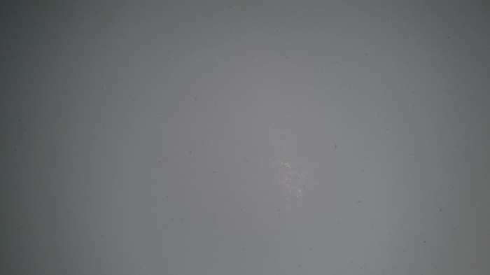 Фотография покупателя товара Картон белый А4, 8 листов "Мишки на полюсе", мелованный, целлюлозный, 230 г/м2 - Фото 4
