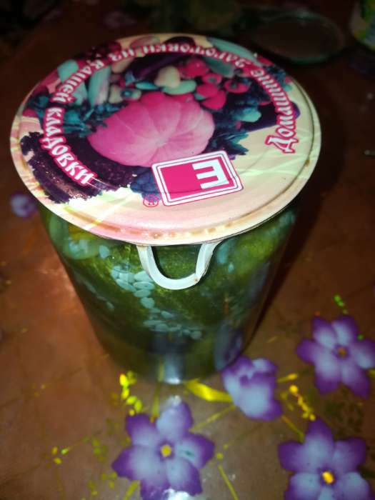 Фотография покупателя товара Крышка для консервирования «Елабуга. Весёлый сад», СКО-82 мм, литография, упаковка 25 шт, цвет МИКС - Фото 3