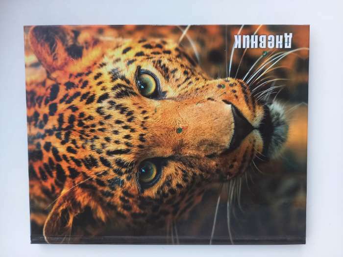 Фотография покупателя товара Дневник для 5-11 классов, "Леопард", твердая обложка 7БЦ, глянцевая ламинация, 48 листов - Фото 3