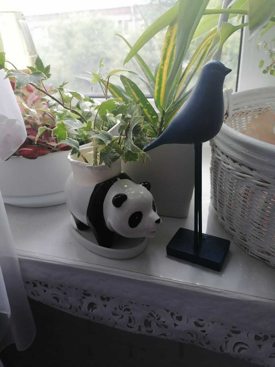 Фотография покупателя товара Декоративный горшок для цветов «Панда», 350 мл, 15×8×9 см, керамический, с поддоном, Greengo - Фото 1