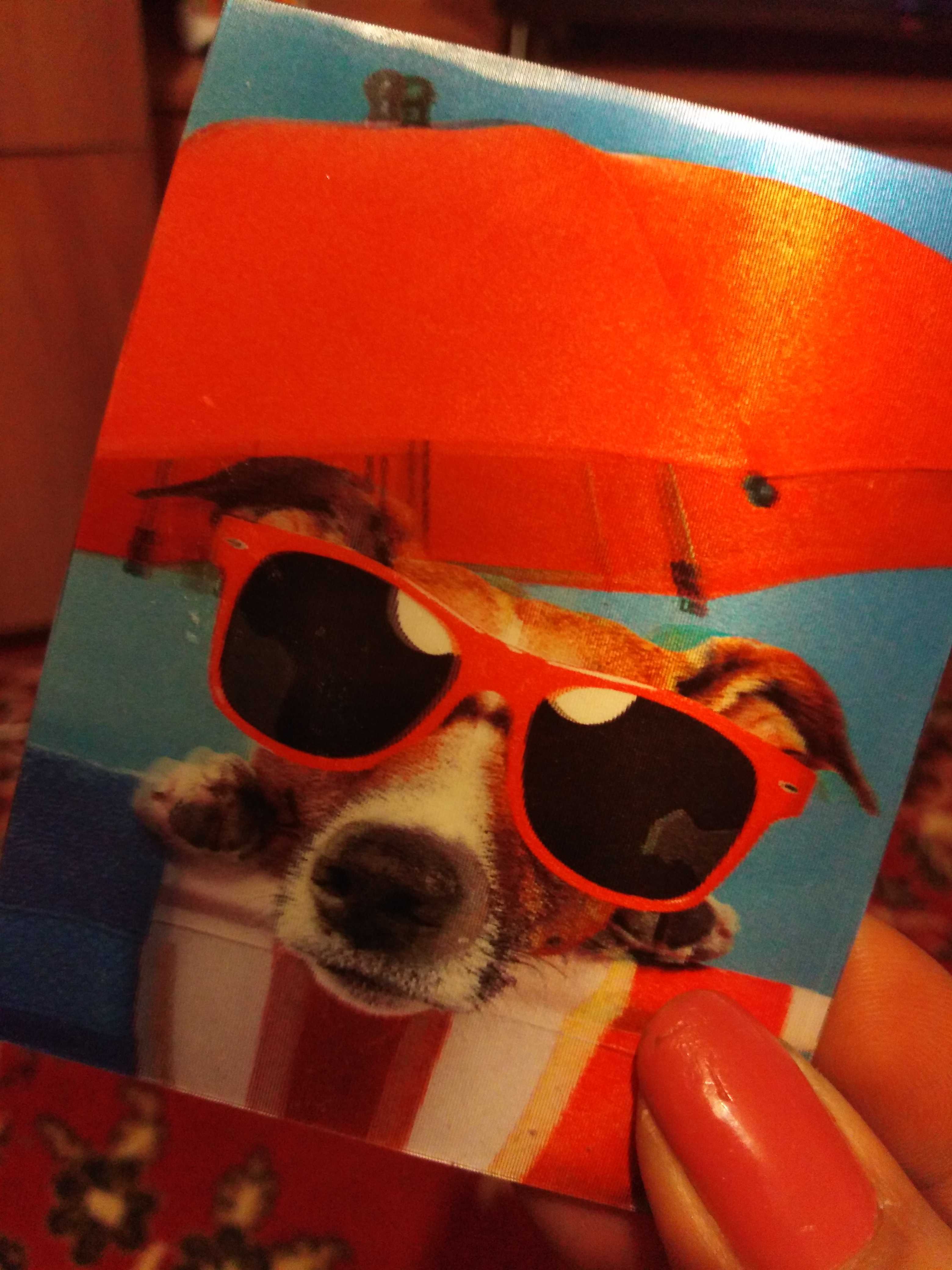 Фотография покупателя товара Блокнот пластиковая обложка 3D А7, 40 листов на клею «Собаки» - Фото 1