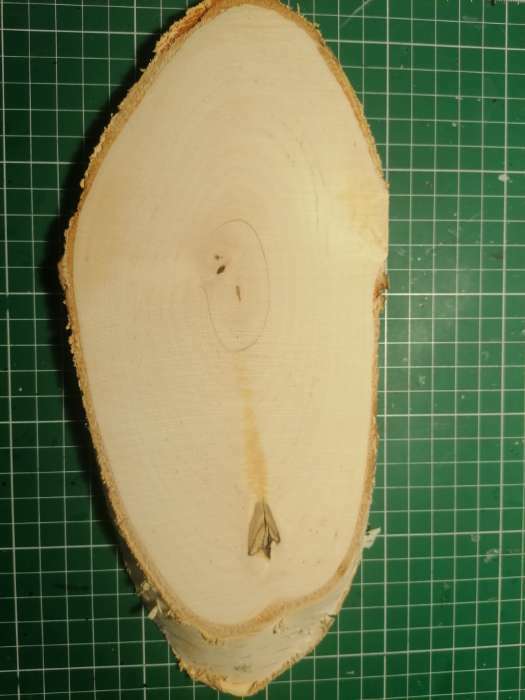 Фотография покупателя товара Спил дерева косой, длина: 23-28 см, ширина: 12-15 см - Фото 8