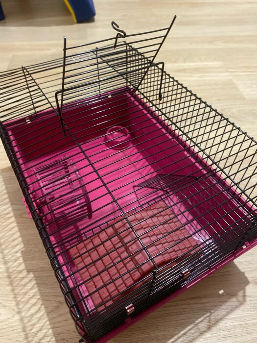 Фотография покупателя товара Клетка для грызунов "Пижон" №4, с этажом, укомплектованная, 37 х 26 х 18 см, рубиновая - Фото 1