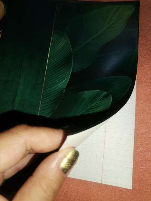 Фотография покупателя товара Тетрадь в клетку, 48 листов А5 на скрепке МИКС, «Тёмная ботаника», обложка мелованный картон 230 гр.,блок №1 80 гр., белизна 96% - Фото 3