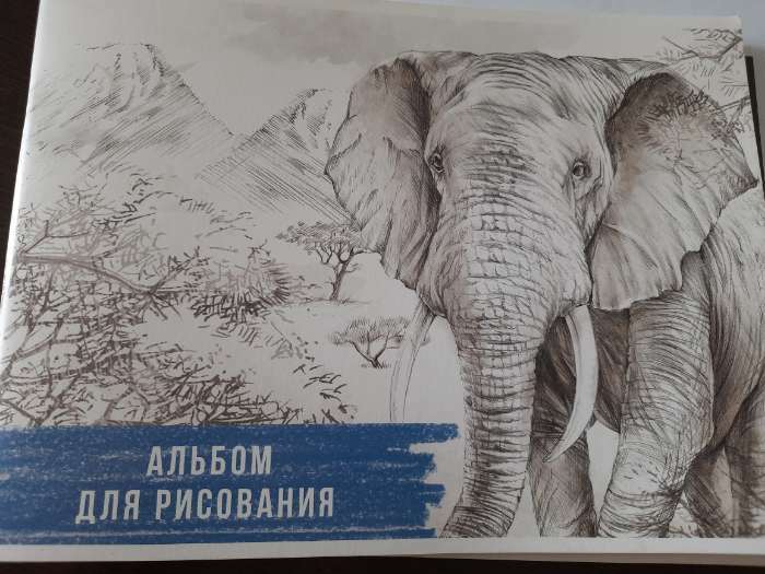 Фотография покупателя товара Альбом для рисования А4, 32 листа на скрепке "Слон", обложка мелованный картон, блок 100 г/м² - Фото 3