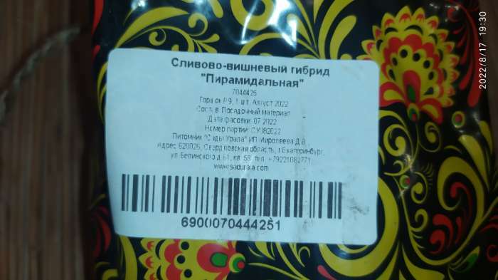 Фотография покупателя товара Сливово-вишневый гибрид Пирамидальная, Горшок Р9, 1 шт, Август 2022