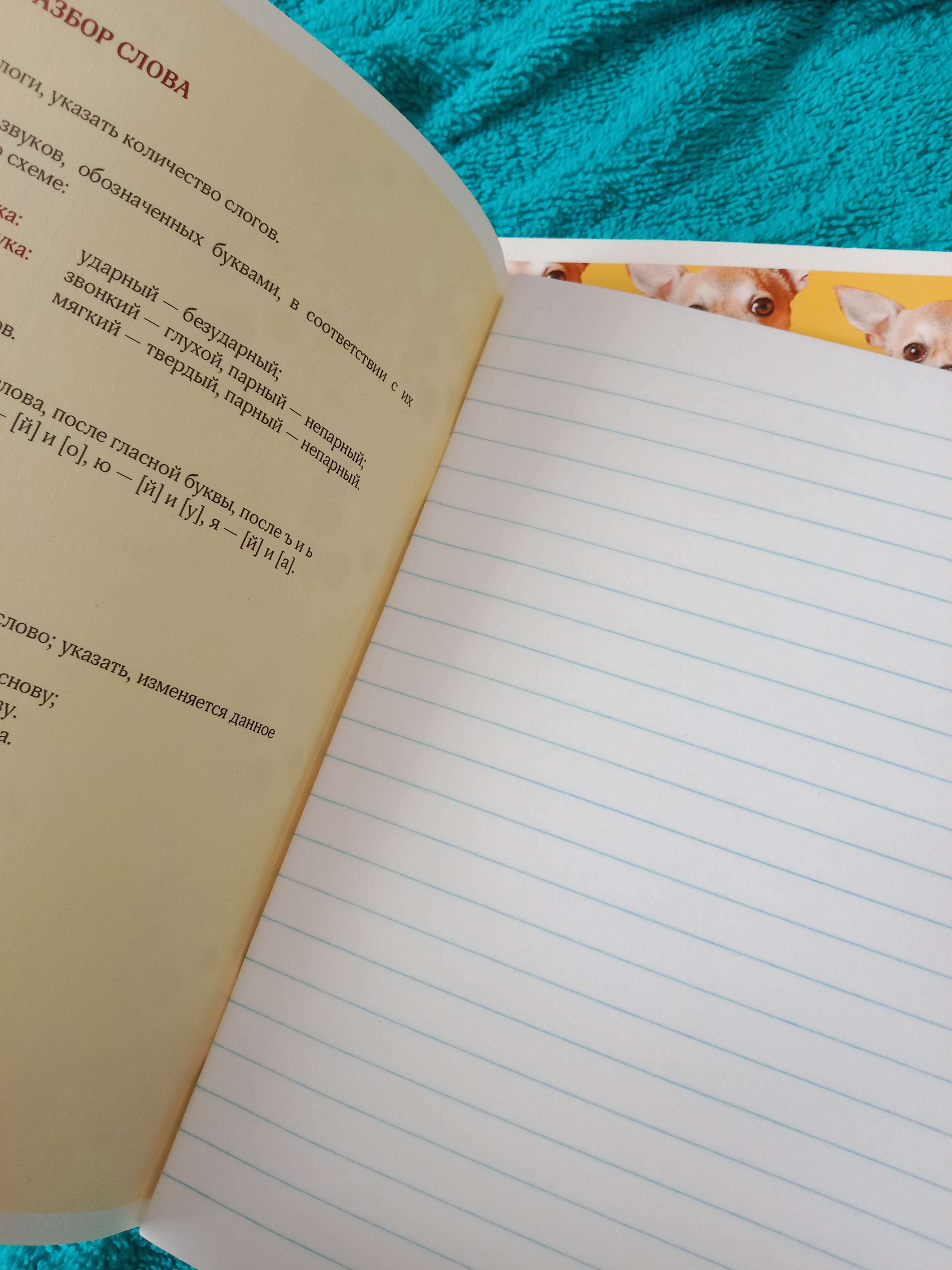 Фотография покупателя товара Тетрадь в клетку, предметная, 48 л., на скрепке, А5 «УВЕДОМЛЕНИЯ. Химия» - Фото 5