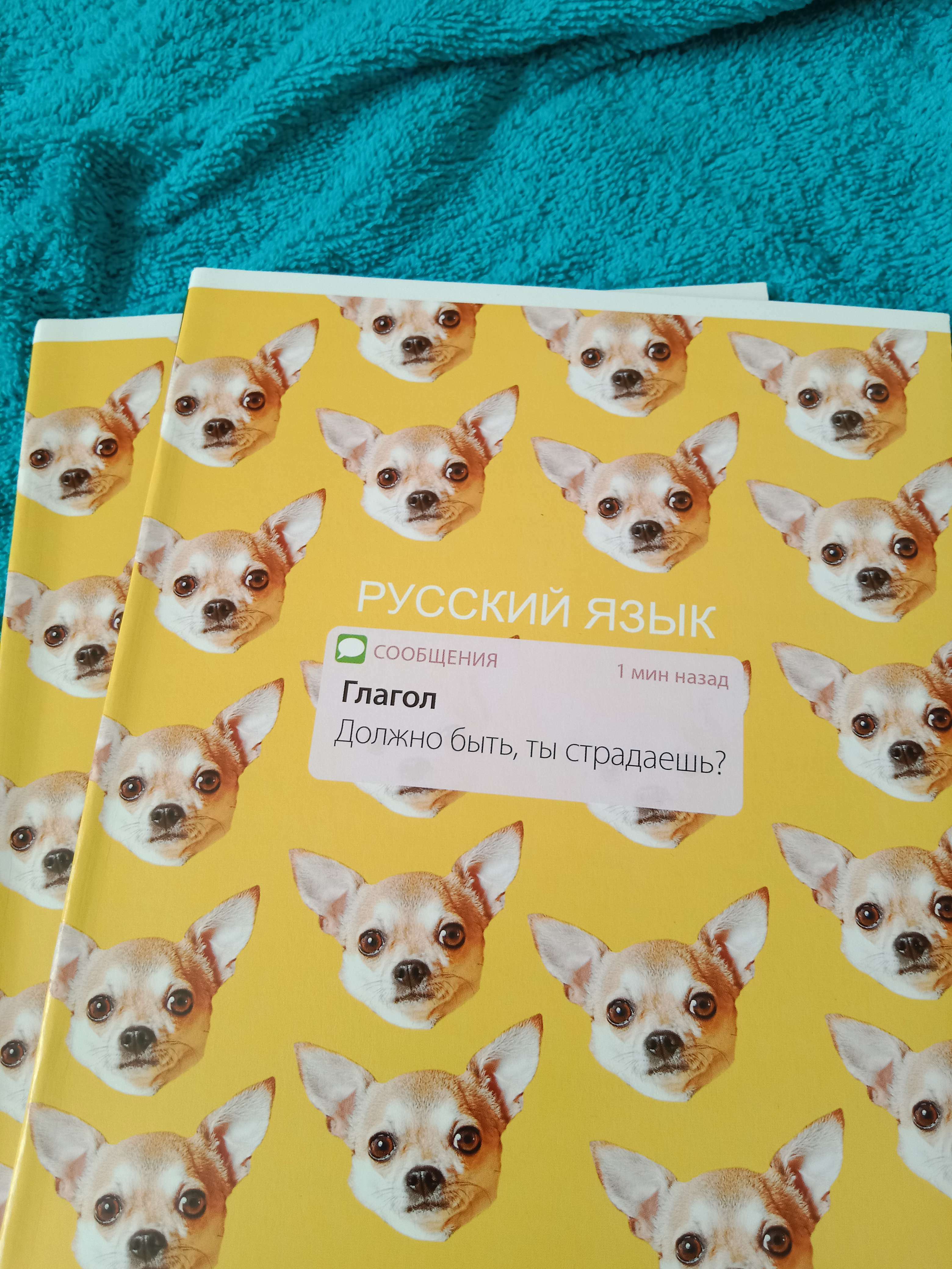 Фотография покупателя товара Тетрадь в клетку, предметная, 48 л., на скрепке, А5 «УВЕДОМЛЕНИЯ. Химия» - Фото 4