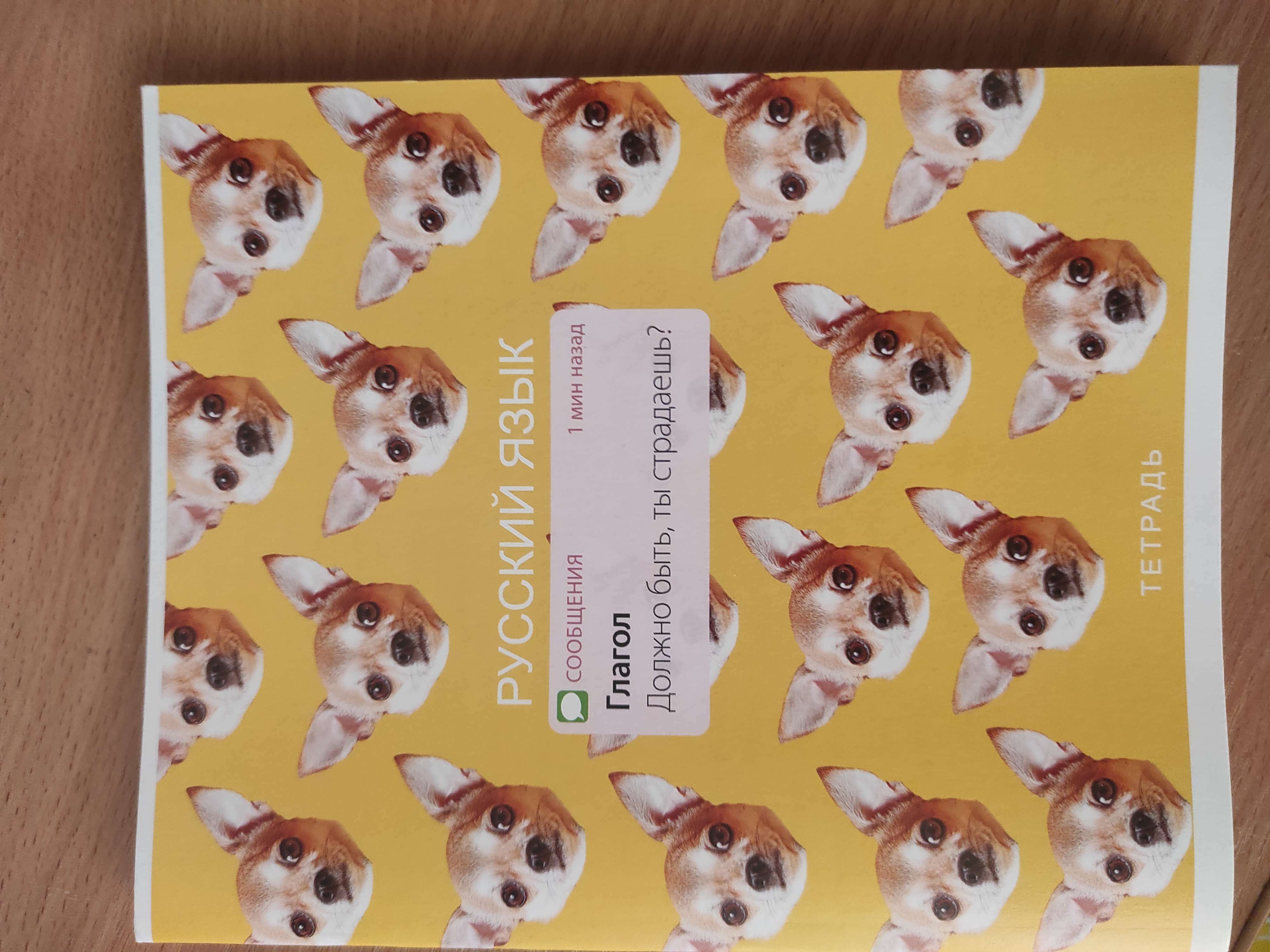 Фотография покупателя товара Тетрадь в клетку, предметная, 48 л., на скрепке, А5 «УВЕДОМЛЕНИЯ. Химия» - Фото 1