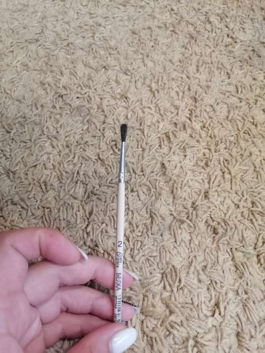 Фотография покупателя товара Кисть для рисования, белка, № 2, Calligrata, круглая, деревянная ручка - Фото 13