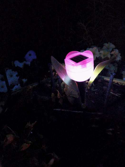 Фотография покупателя товара Садовый светильник на солнечной батарее «Тюльпан розовый», 4.5 × 29 × 4.5 см, 1 LED, свечение белое - Фото 2