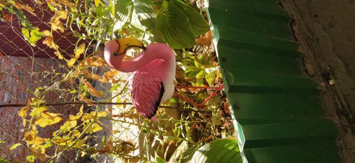 Фотография покупателя товара Садовая фигура "Розовый фламинго" 23х14х49см - Фото 2
