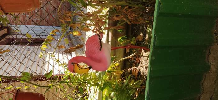 Фотография покупателя товара Садовая фигура "Розовый фламинго" 23х14х49см