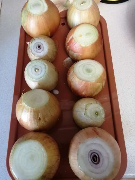 Фотография покупателя товара Лоток для выращивания зелёного лука, 29 × 16 × 8.5 см, 10 лунок, терракотовый - Фото 4