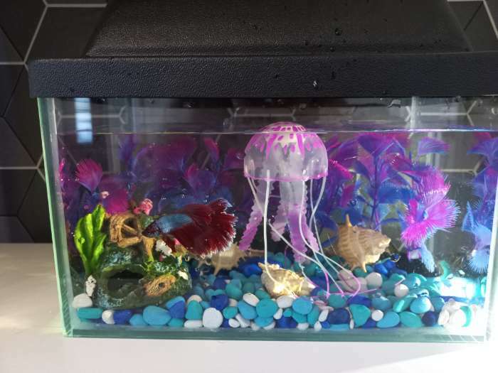 Фотография покупателя товара Декор для аквариума "Медуза" силиконовая, флуоресцентная, 5 х 5 х 15 см, фиолетовая - Фото 5