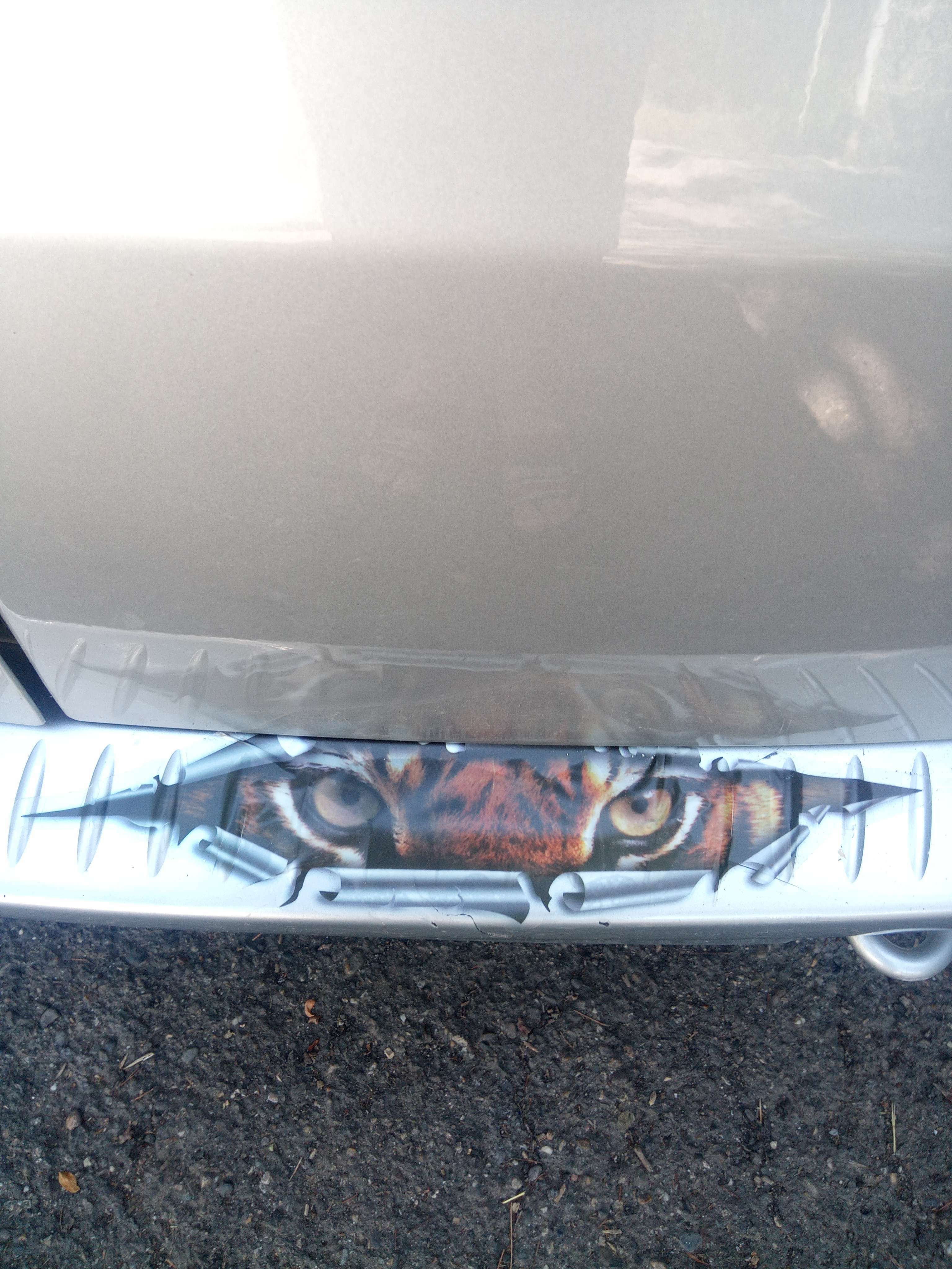 Фотография покупателя товара Наклейка на авто 3D, светоотражающая, "Тигр", 21×5 см