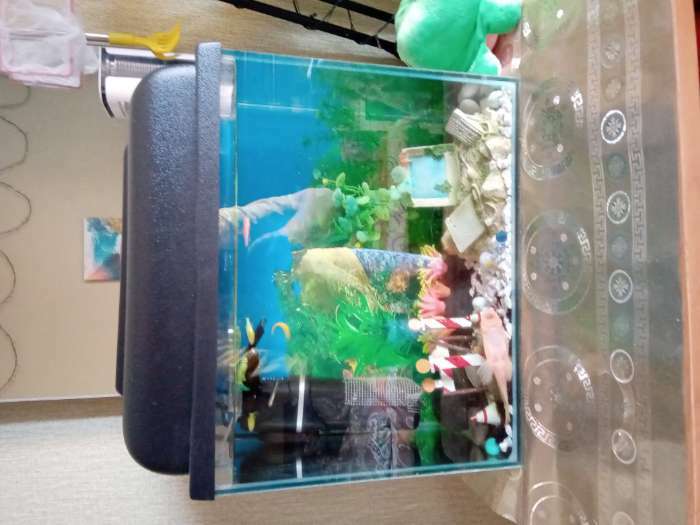 Фотография покупателя товара Крышка для прямоугольного аквариума, 20 литров, 36 х 19 х 7 см - Фото 1