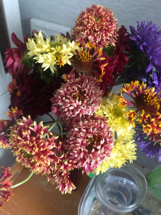Фотография покупателя товара Семена цветов Гайлардия "Лорензиана", смесь окрасок, 0,3 г - Фото 1