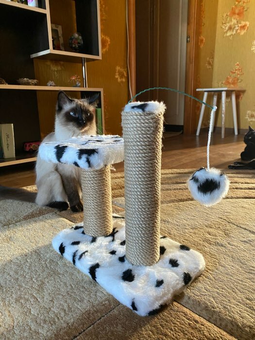 Фотография покупателя товара Когтеточка для котят двойная, 30 х 20 х 34 см, джут, серая с лапками - Фото 2