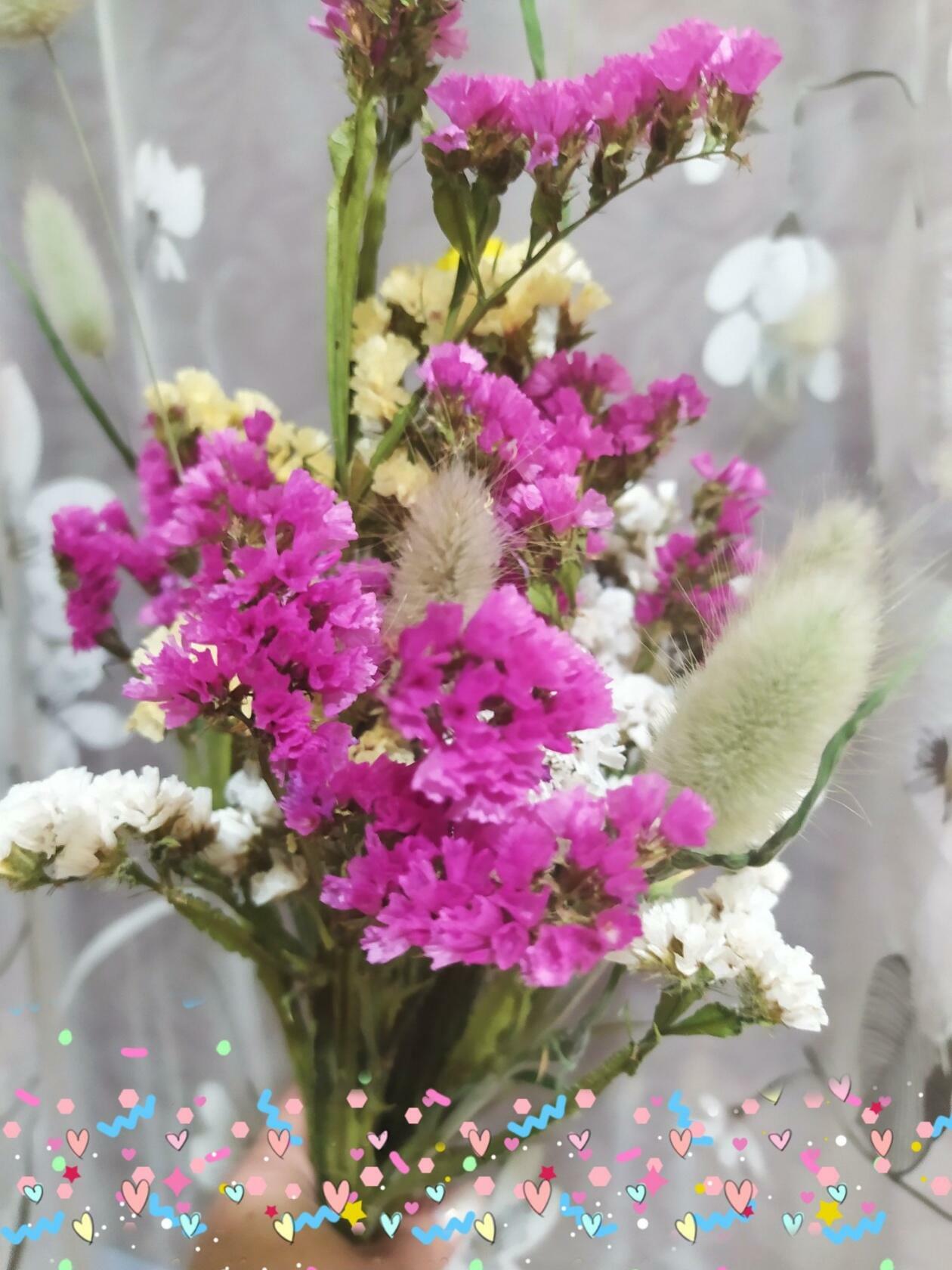 Фотография покупателя товара Семена цветов Лагурус (заячий хвостик), О, 10 шт - Фото 1