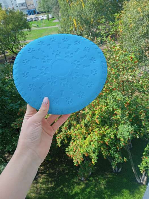 Фотография покупателя товара Фрисби "Косточки и лапки", 18,6 см, термопластичная резина, голубой